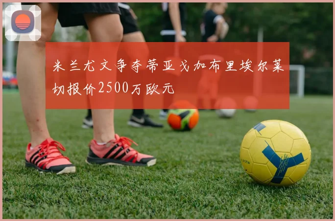 米兰尤文争夺蒂亚戈加布里埃尔莱切报价2500万欧元